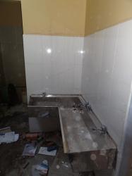dsc00387-copier.jpg