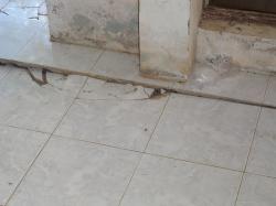 dsc01943-copier.jpg