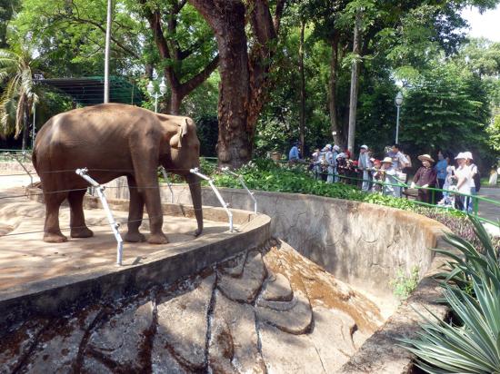 Sortie zoo 3